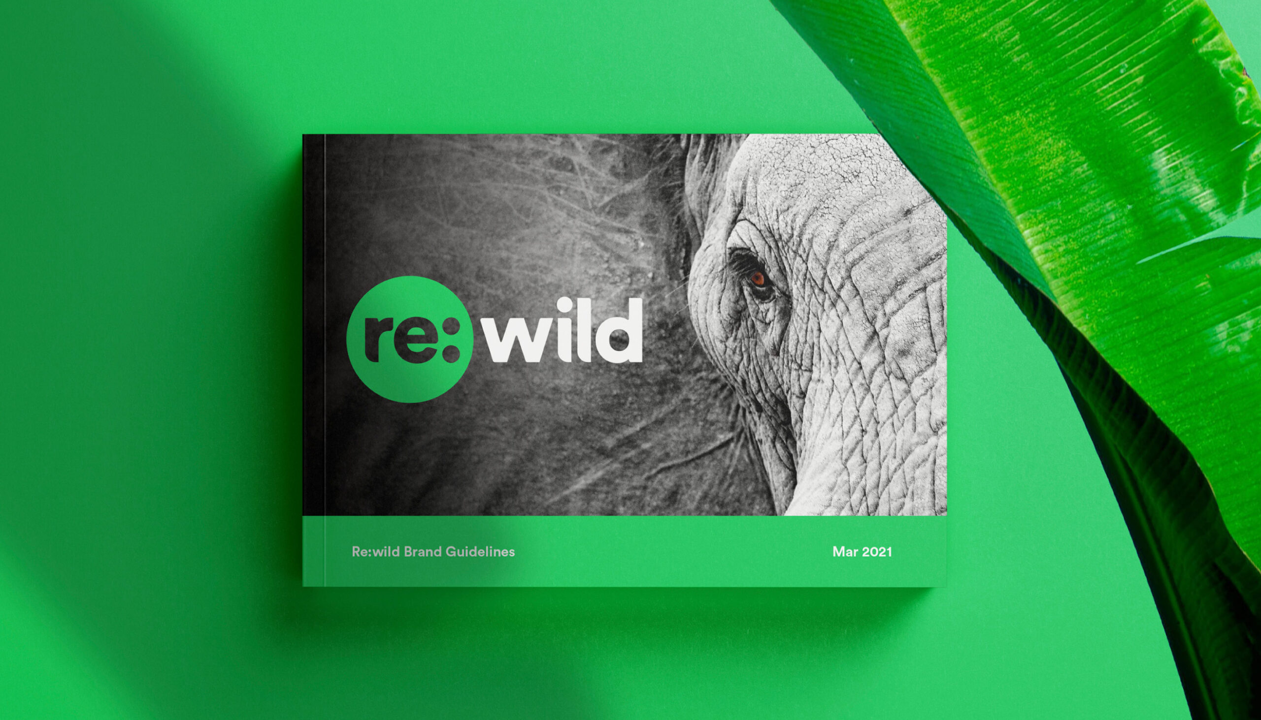 rewild_casestudy-11_small